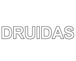 Druidas 360 Logo