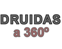 Druidas 360 Logo